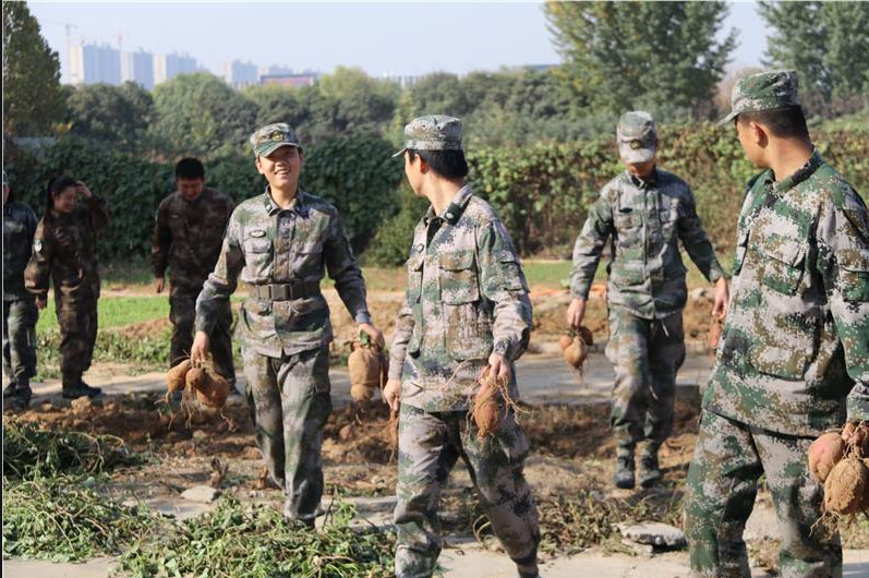 浙江丽水少年全封闭管理学校