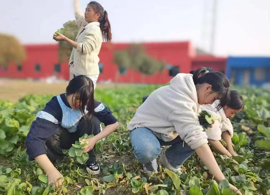 河南问题青少年特训学校在哪里