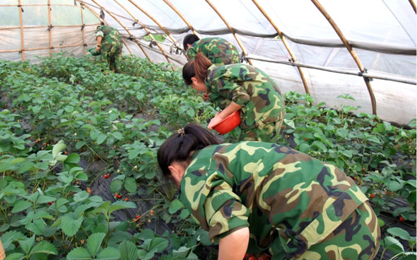 秦皇岛市卢龙县不良少年管理学校